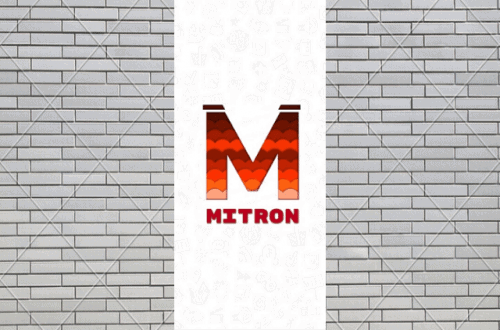 Things that you need to know about the TikTok clone app Mitron